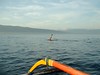 Tail-end of Dolphin